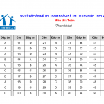 Đáp Án Chi Tiết Đề Thi Thử THPT 2020 Đáp Án Chi Tiết Đề Thi Thử THPT 2020