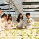 Ngành Công Nghệ Sau Thu Hoạch Ngành Công Nghệ Sau Thu Hoạch