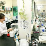 Ngành Kỹ thuật thực phẩm Ngành Kỹ thuật thực phẩm